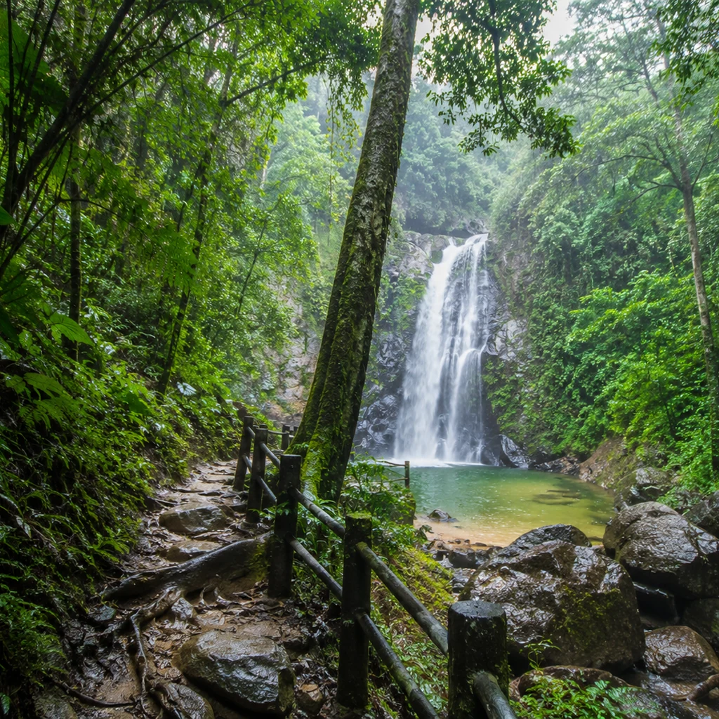 Hidden waterfall pool surrounded by lime green tropical forest